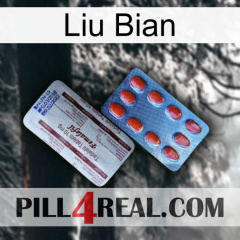 Liu Bian 36